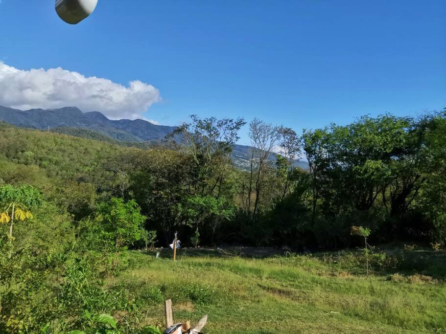 Blue Marlin Bungalow Neuf 4 Personnes Bouillante Zewnętrze zdjęcie